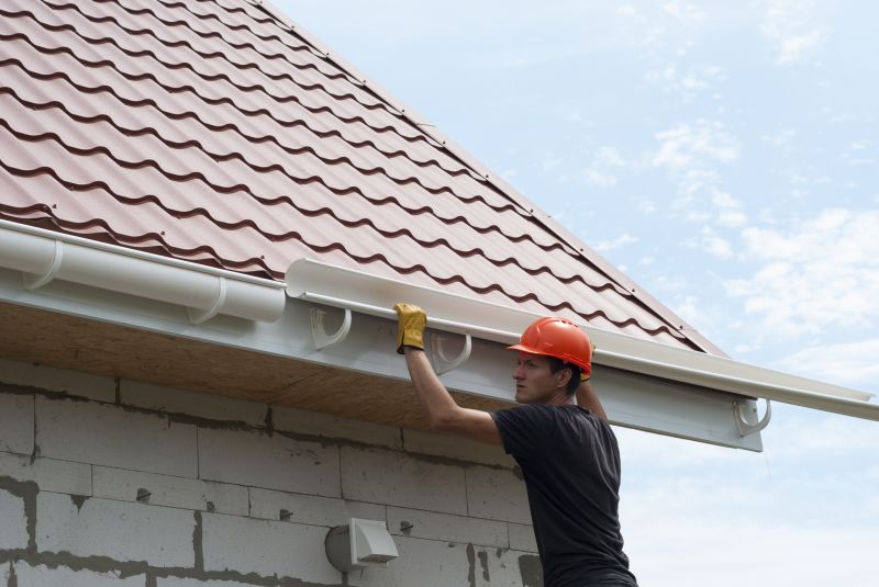 Gutter and Roof Maintenance